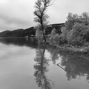 Meet your Posher, Rick